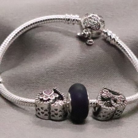 Elegant Sterling Silver Animal Charm Bracelet with Engraved Paw and Bone