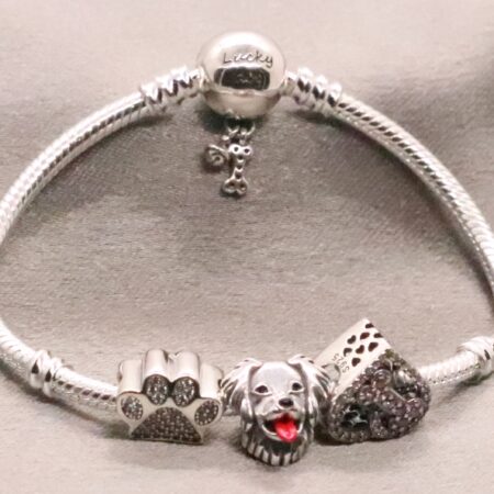 Elegant Sterling Silver Snake Charm Bracelet with Engraved Paw and Bone Charms
